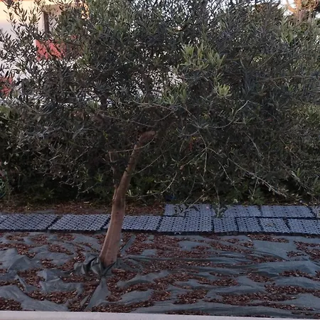아파트 Casa D' Angolo