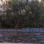דירה Casa D' Angolo